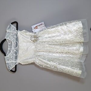 Christmas Dress Jona Michelle Girls Size 7 Dress Silver and Champagne